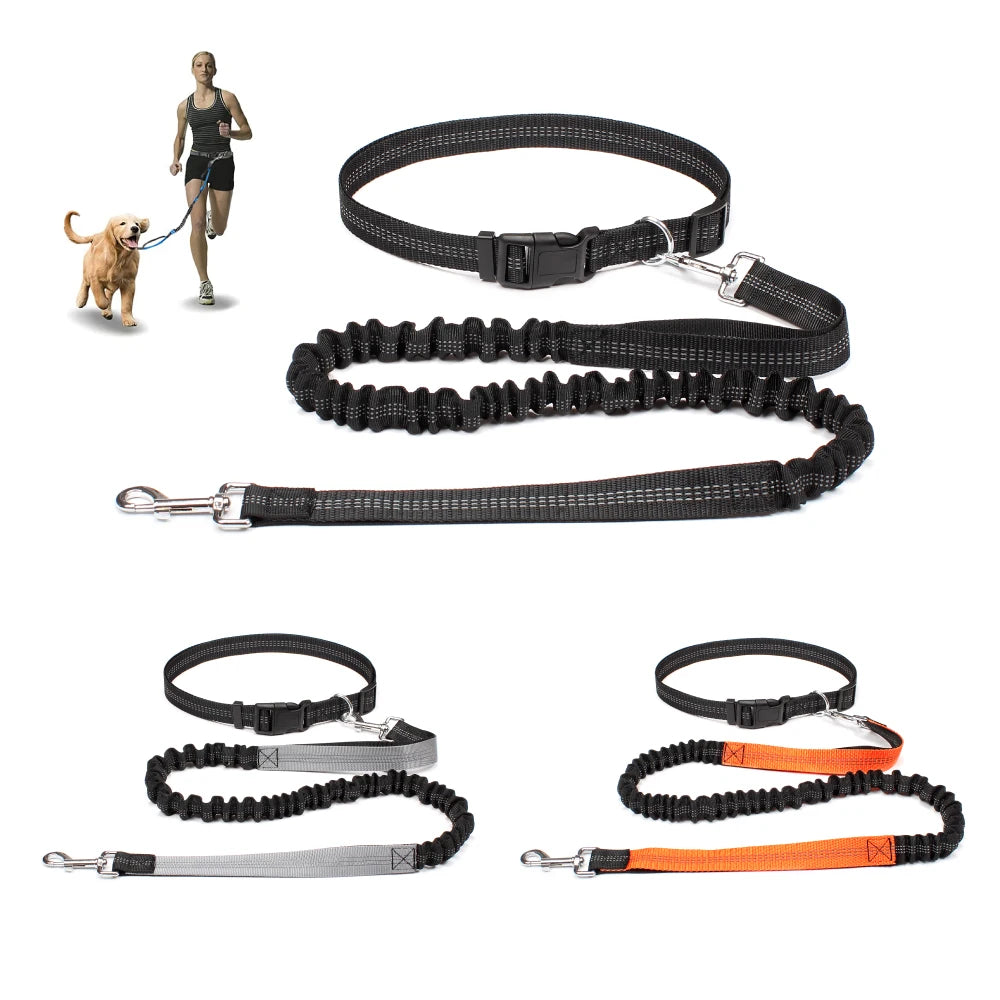 Adjustable Hand Free Dog Leash for Pet Walking Running or Jogging