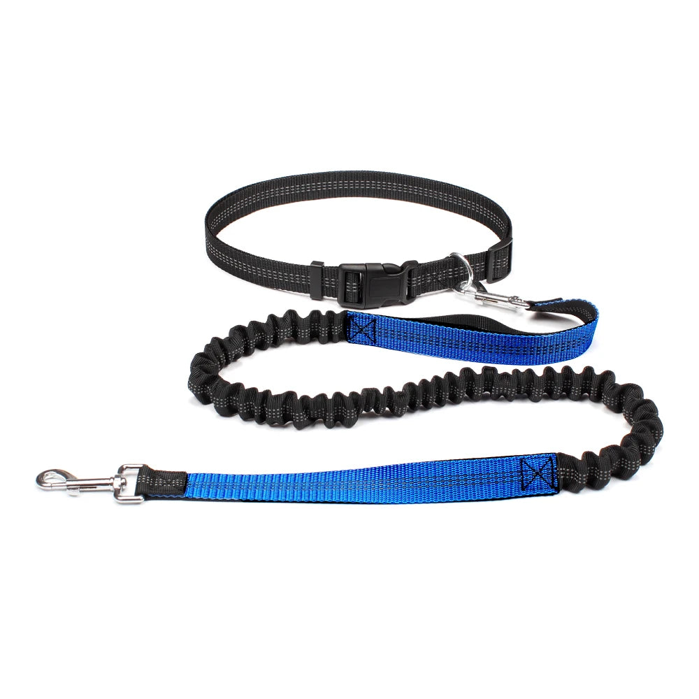 Adjustable Hand Free Dog Leash for Pet Walking Running or Jogging