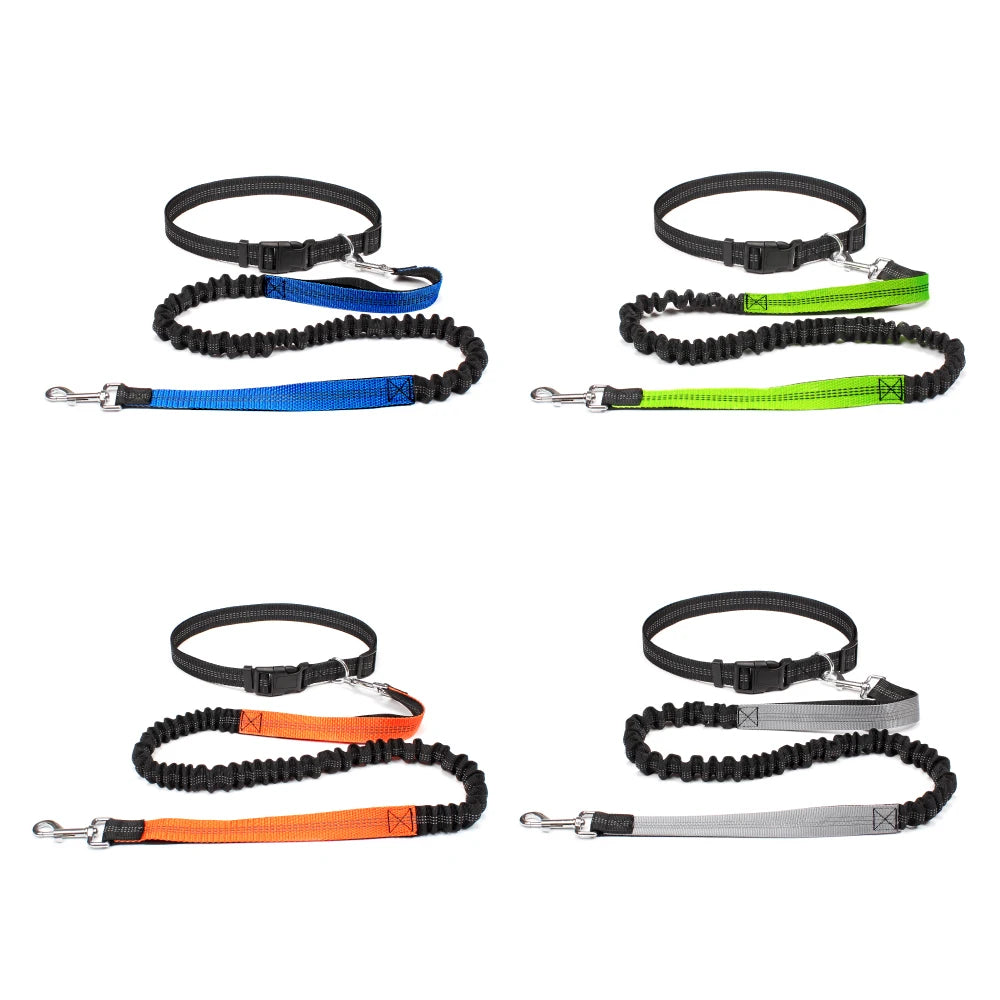 Adjustable Hand Free Dog Leash for Pet Walking Running or Jogging